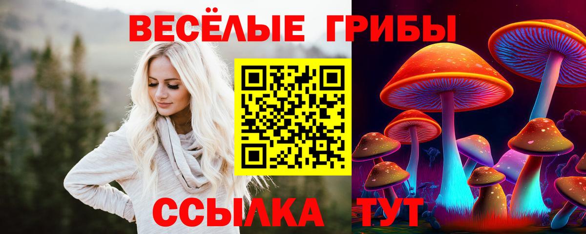 Псилоцибиновые грибы Magic Shrooms  Вход с VPN  наркота  Карпинск 